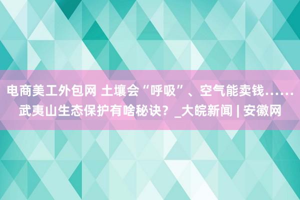 电商美工外包网 土壤会“呼吸”、空气能卖钱……武夷山生态保护有啥秘诀？_大皖新闻 | 安徽网