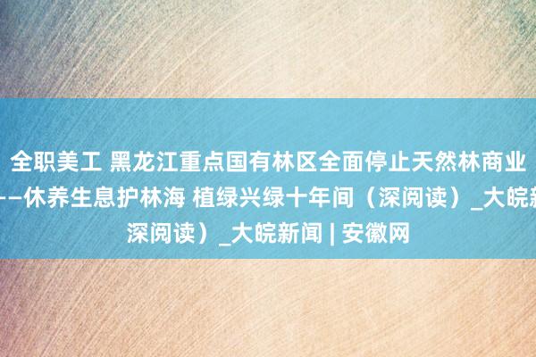 全职美工 黑龙江重点国有林区全面停止天然林商业性采伐以来——休养生息护林海 植绿兴绿十年间（深阅读）_大皖新闻 | 安徽网